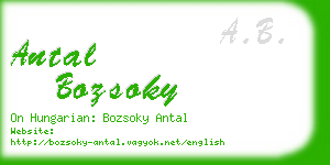 antal bozsoky business card